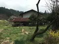 山川温泉の写真_126927