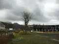 豊後森機関庫の写真_126953