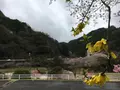 耶馬渓ダムスポーツ公園の写真_126957