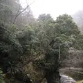 耶馬渓の写真_126965