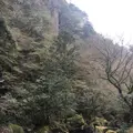 耶馬渓の写真_126966