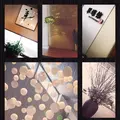 翠蝶館の写真_127058