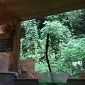 懐水集の写真_127170