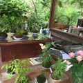 懐水集の写真_127171