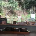 懐水集の写真_127173