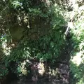 懐水集の写真_127178