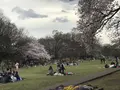砧公園の写真_127306