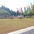羊山公園の写真_127361
