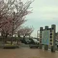 海を見ながら食べると幸せになるアイスの写真_127458
