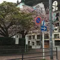 海を見ながら食べると幸せになるアイスの写真_127459