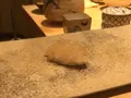 鮨さいとうの写真_127721