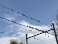 キリンビール 横浜工場の写真_128021