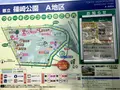 篠崎公園の写真_128140