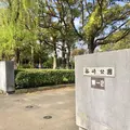 篠崎公園の写真_128141
