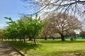 篠崎公園の写真_128142