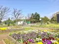 篠崎公園の写真_128144