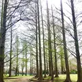 篠崎公園の写真_128146