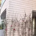 デンマーク王国大使館の写真_128189