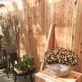 デンマーク王国大使館の写真_128190
