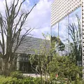 代官山 蔦屋書店(TSUTAYA)の写真_128203
