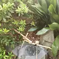 猿楽神社の写真_128214