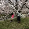 種松山の写真_128300