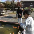 深山公園の写真_128304