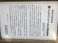 西浦エヒメアヤメ自生南限地帯の写真_128375