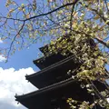 仁和寺の写真_128451