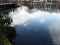 金鱗湖の写真_128947