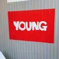 YOUNG（ヤング）の写真_129185