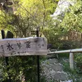 光明寺の写真_129222
