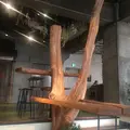 Nui.（ヌイ） HOSTEL & BAR LOUNGEの写真_129356