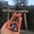 玉作湯神社の写真_129581