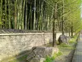 今宮神社の写真_129660