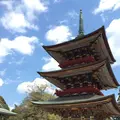 成田山新勝寺の写真_129714