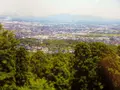 春日山城跡の写真_129757