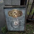 ギャラリー犬養の写真_129867