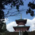 成田山公園の写真_130014