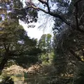 成田山公園の写真_130017
