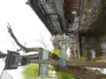 ペリーロードの写真_130406