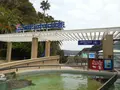 下田海中水族館の写真_130410
