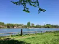 都立浮間公園の写真_130422