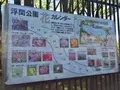 都立浮間公園の写真_130424