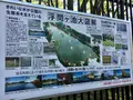都立浮間公園の写真_130425