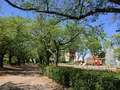 都立浮間公園の写真_130431