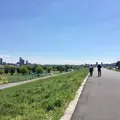 新荒川大橋野球場の写真_130441