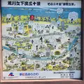 新荒川大橋野球場の写真_130443