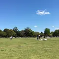 昭和記念公園 みんなの原っぱの写真_130456