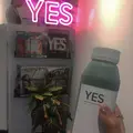 YES TOKYOの写真_130775